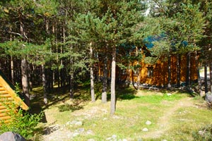 Территория